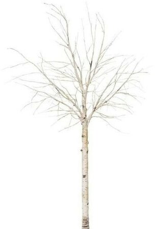 Image courtesy of HBX