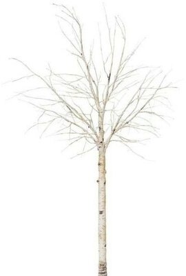 Image courtesy of HBX