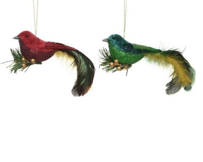 Bird feather with plastic glass (assorted)