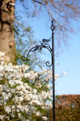 Bird Shepherds Crook -Image courtesy of Tom Chambers