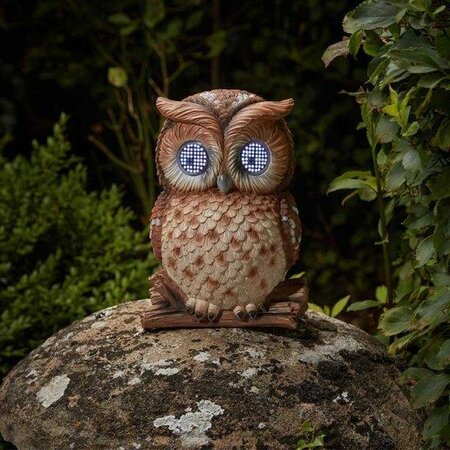 Blinkin' Owl - image 1