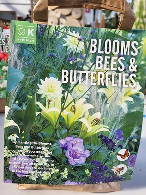 Bloom, Bees & Butterflies (Blue & White) - Image by Ardcarne Garden Centre