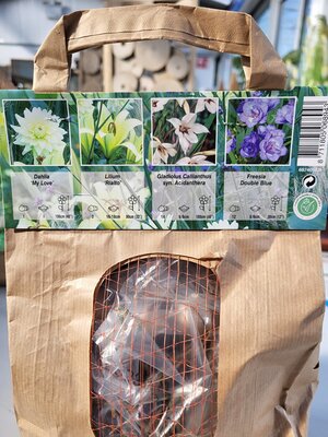 Bloom, Bees & Butterflies (Blue & White) - Image by Ardcarne Garden Centre