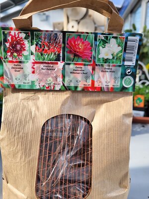 Bloom, Bees & Butterflies (Red & White) - Image by Ardcarne Garden Centre