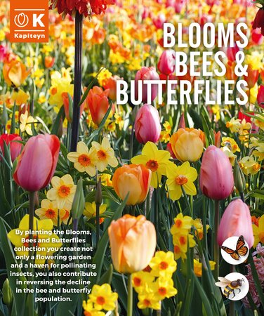 Blooms Bees & Butterflies Pastel  (25 bulbs) - image 1