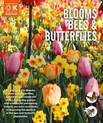 Blooms Bees & Butterflies Pastel  (25 bulbs) - image 1