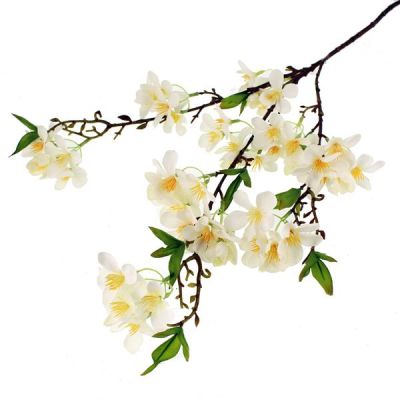 Blossom Spray - image 1