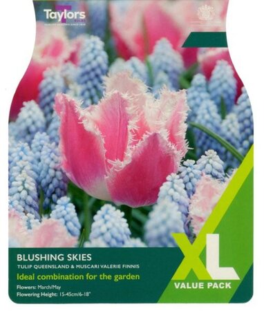 Blushing Skies (25 bulbs)