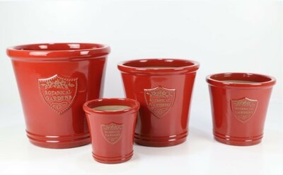 Botanic Planter  size 2