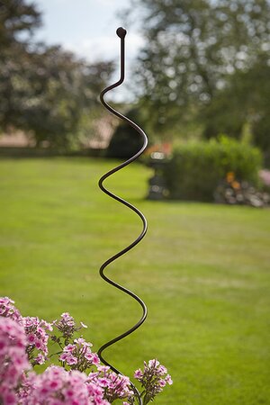 Botanical Spiral Plant Support