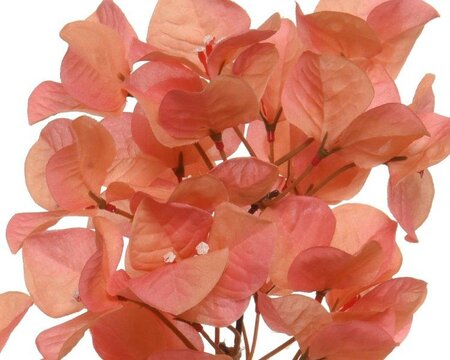 Bougainvillea Polyester - image 2