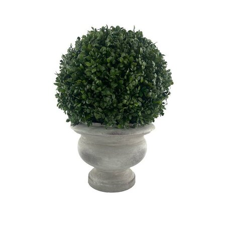 Boxwood Ball Plant, Pottery Urn -Image courtesy of Elmes