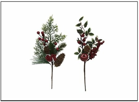 Image courtesy of Hodgewoning