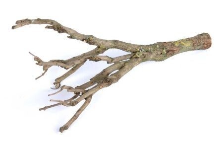 Branch Sering -Image courtesy of HBX Décor