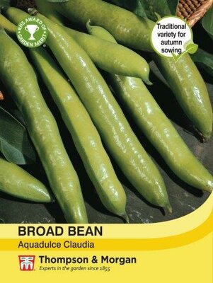 Broad Bean Aquadulce Claudia - image 1