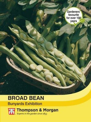 Broad Bean Bunyards Exhibition - image 2