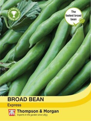 Broad Bean Express - image 1