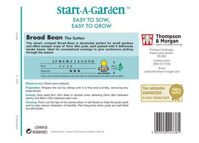 Broad Bean “The Sutton” - image 2
