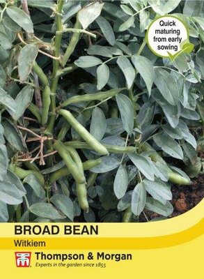 Broad Bean Witkiem - image 2