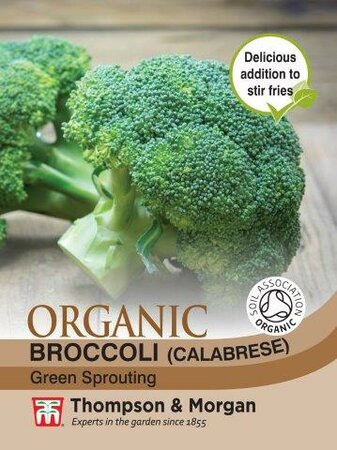 Broccoli Green Sprouting Organic - image 1