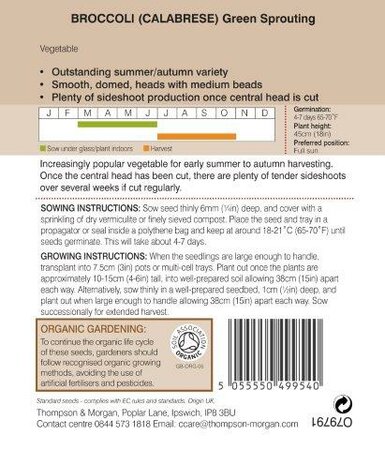 Broccoli Green Sprouting Organic - image 2