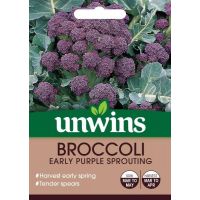 Broccoli (Sprouting) Early Purple Sprouting
