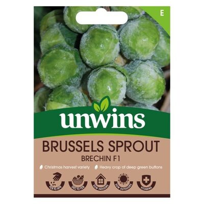 Brussels Sprout Brechin F1 - Image courtesy of Unwins