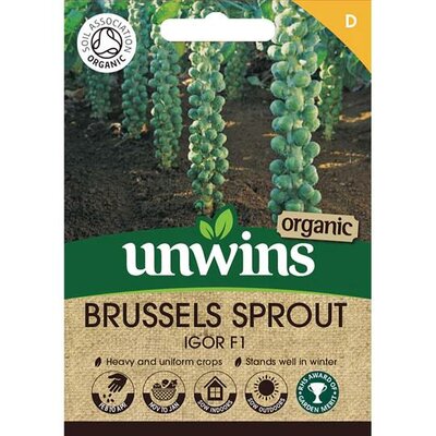 Brussels Sprout Igor F1 (Organic) (25) - image 1