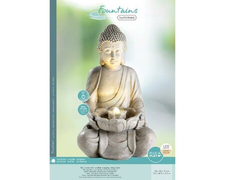 Buddha Fountain - image 2