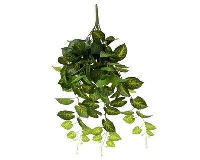 Bush pe taro spray -Image courtesy of Kaemingk