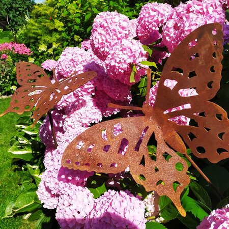 Metal Garden Stake - Butterfly -Image courtesy of Plantline