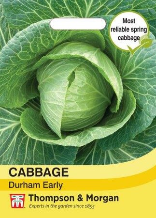 Cabbage Durham Early - image 1