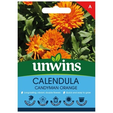 Calendula Candyman Orange - Image courtesy of Unwins