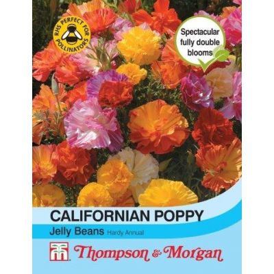 Californian Poppy Jelly Beans