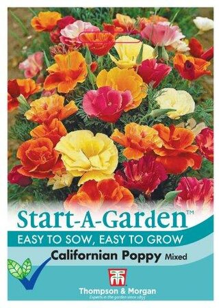 Californian Poppy Mixed - image 1