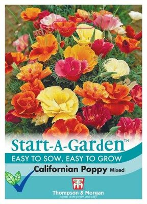 Californian Poppy Mixed - image 1