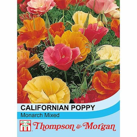 Californian Poppy Mixed - Image courtesy of T&M