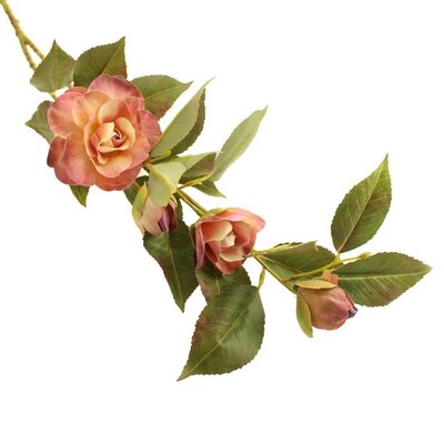 Image courtesy of Sage Decor