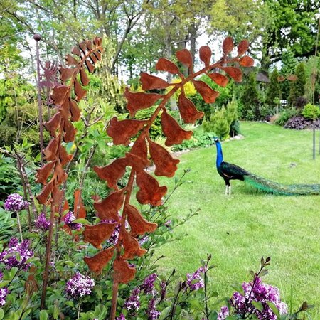 Campanula metal stake (160cm)