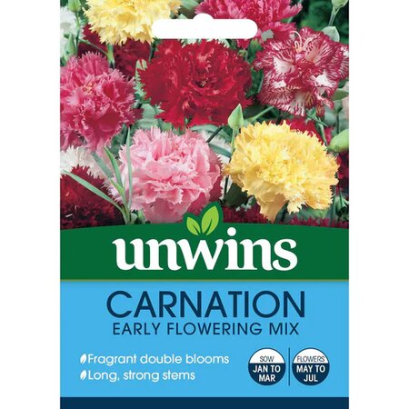 Carnation Early Flowering Mix (100) - image 1