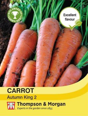 Carrot Autumn King 2 - image 1