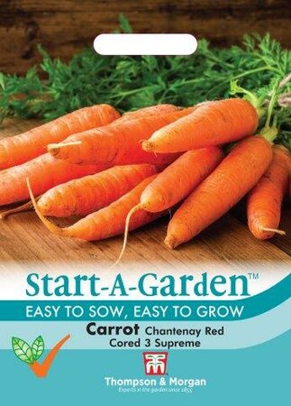 Carrot Chantenay Red Cored 3 - Supreme - image 1
