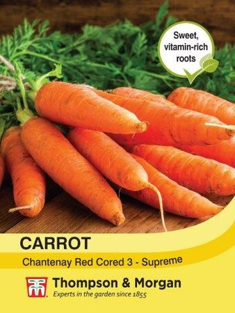 Carrot Chantenay Red Cored 3 - Supreme - image 1