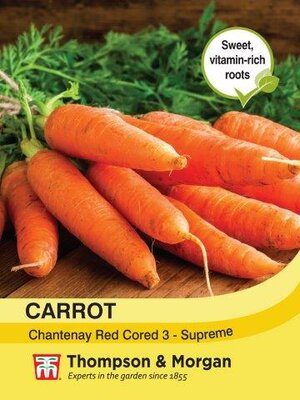 Carrot Chantenay Red Cored 3 - Supreme - image 2