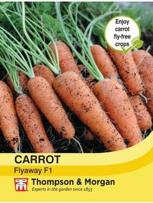 Carrot Fly Away F1 Hybrid - image 2