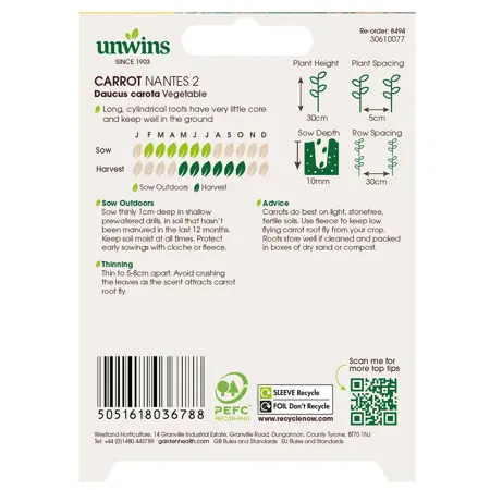 Carrot Nantes 2 (Organic) (2000) - image 2