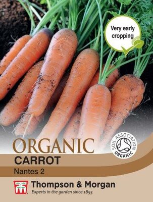 Carrot “Nantes” 2 Organic - image 1
