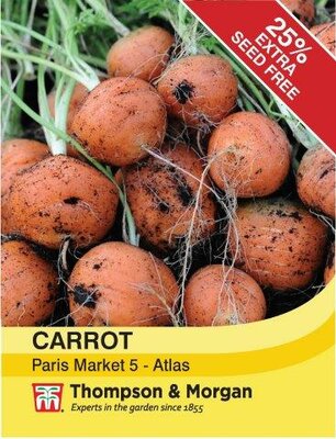 Carrot Paris Market Atlas - image 2