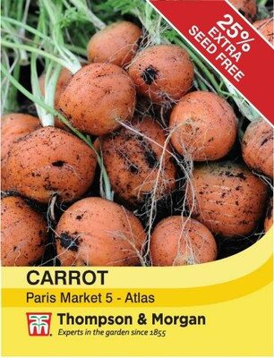 Carrot Paris Market Atlas - image 1