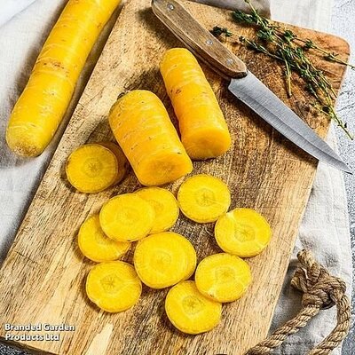 Carrot Yellow Moon F1 - Image courtesy of Thompson & Morgan